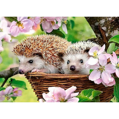 Free Hedgehog - MyCraftsGfit - Free 5D Diamond Painting