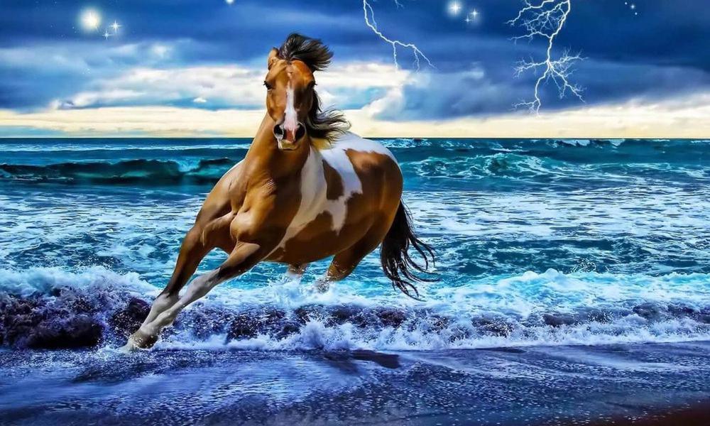 Free Horse - MyCraftsGfit - Free 5D Diamond Painting