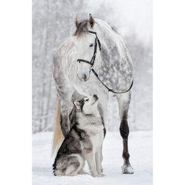 Horse and Wolf Free 5D Diamond Painting Kits MyCraftsGfit - Free 5D Diamond Painting mycraftsgift.com