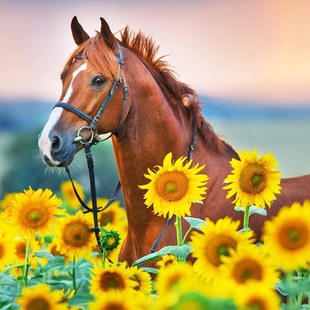 Horse in Sunflower - MyCraftsGfit - Free 5D Diamond Painting