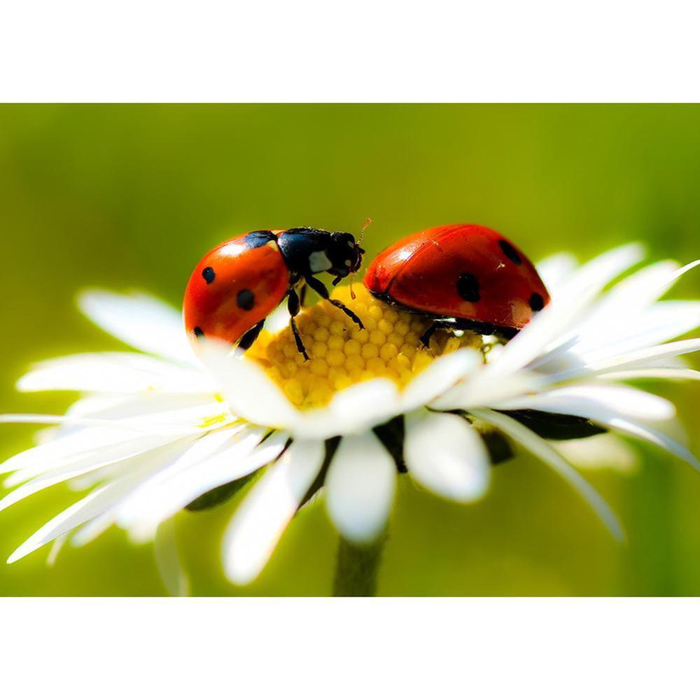 Free Insect and Flower - MyCraftsGfit - Free 5D Diamond Painting