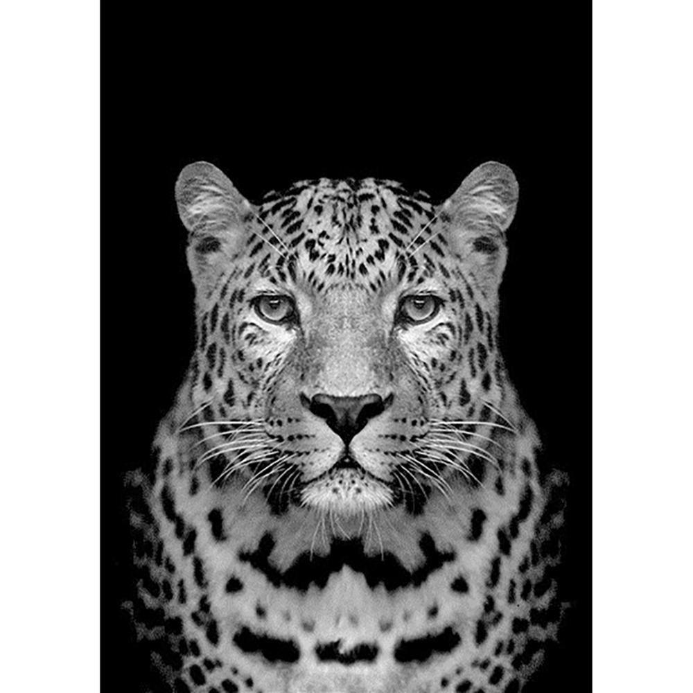 Free Leopard - MyCraftsGfit - Free 5D Diamond Painting