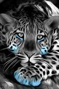 Leopard Free 5D Diamond Painting Kits MyCraftsGfit - Free 5D Diamond Painting mycraftsgift.com