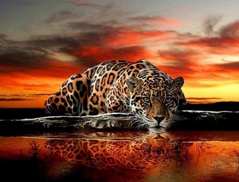 Free Leopard - MyCraftsGfit - Free 5D Diamond Painting