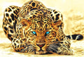 Leopard - MyCraftsGfit - Free 5D Diamond Painting