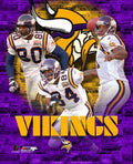 Free Minnesota Vikings - MyCraftsGfit - Free 5D Diamond Painting