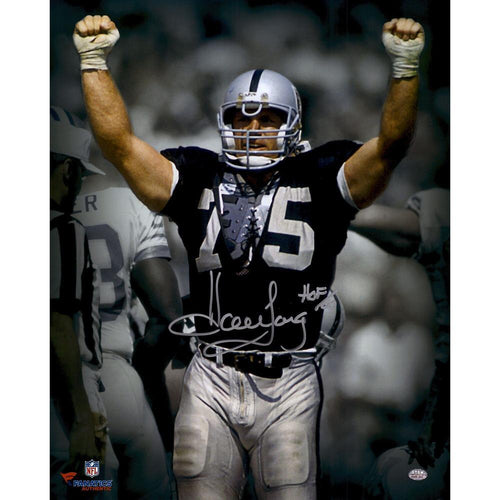 Free Oakland Raiders - MyCraftsGfit - Free 5D Diamond Painting