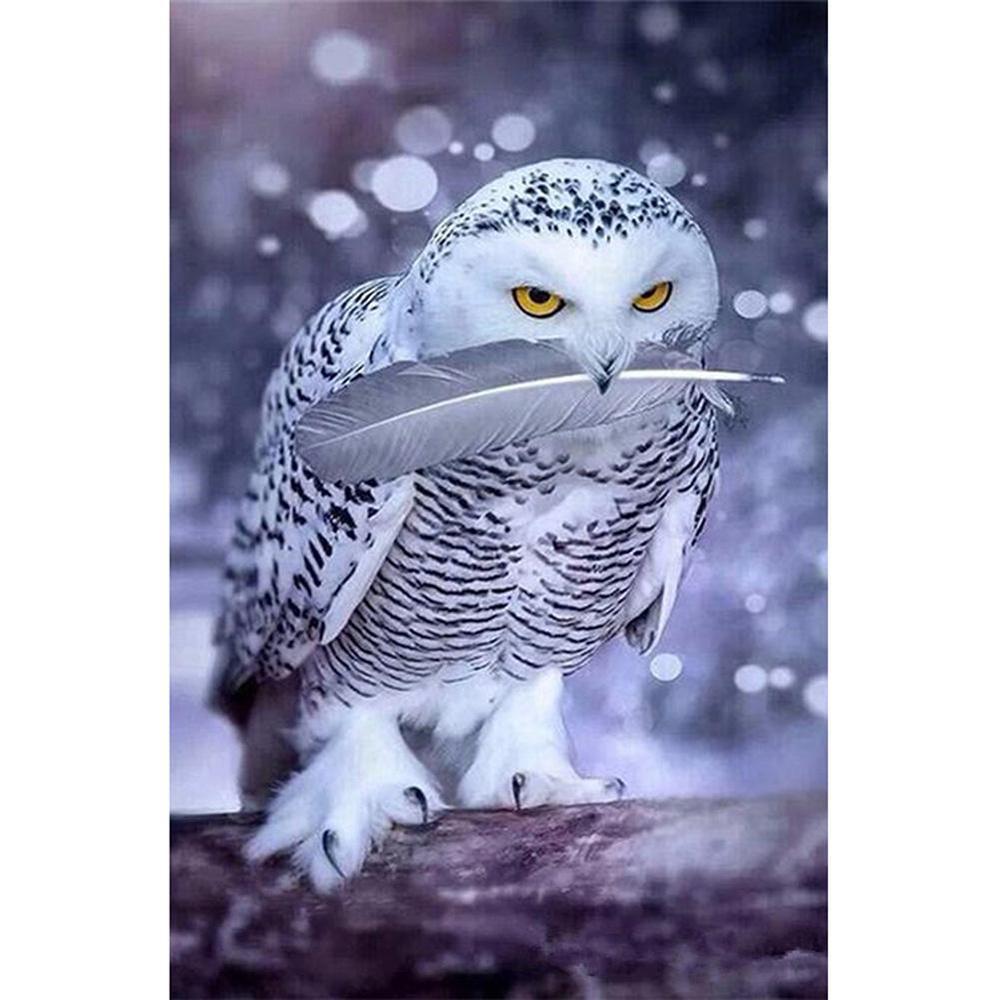 Free Owl - MyCraftsGfit - Free 5D Diamond Painting