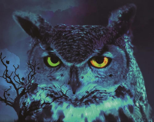 Free Owl - MyCraftsGfit - Free 5D Diamond Painting