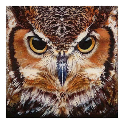 Owl - MyCraftsGfit - Free 5D Diamond Painting