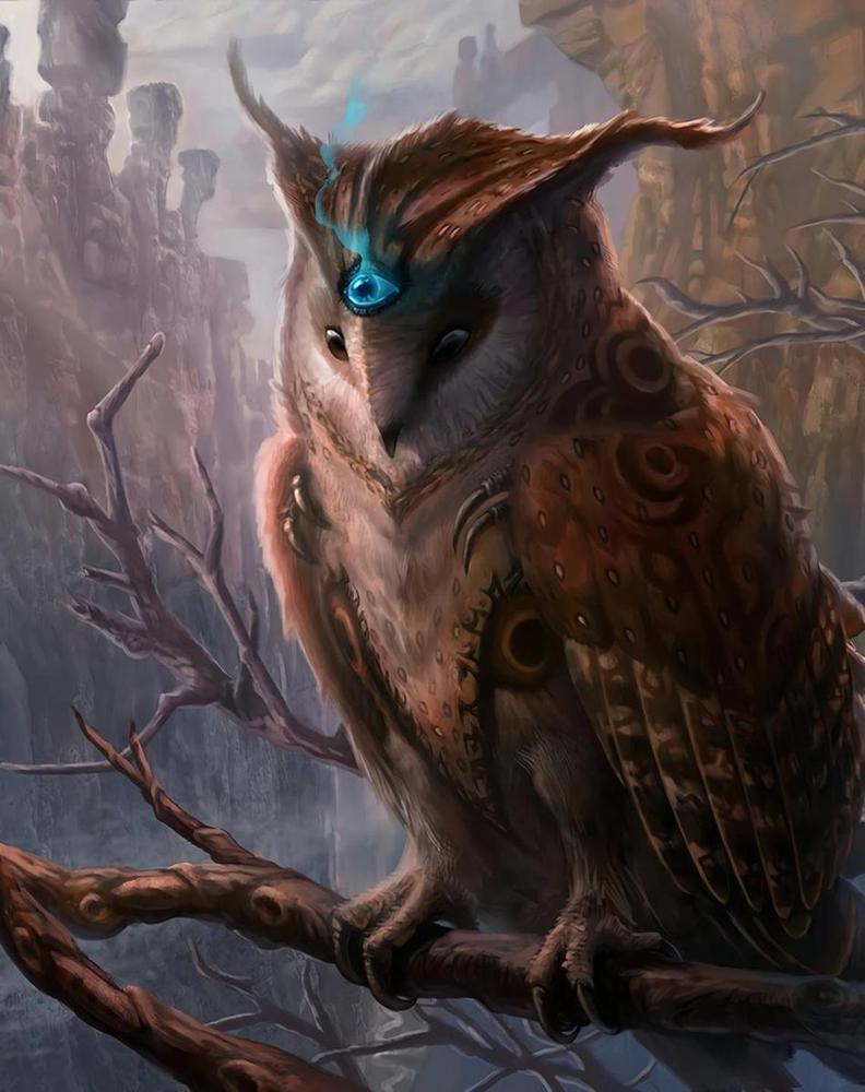 Free Owl - MyCraftsGfit - Free 5D Diamond Painting