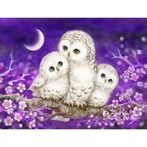 Free Owl - MyCraftsGfit - Free 5D Diamond Painting