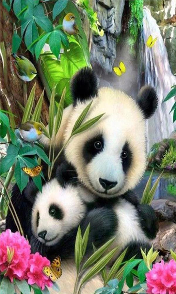 Panda - MyCraftsGfit - Free 5D Diamond Painting