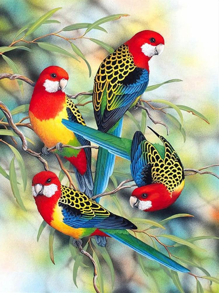 Free Parrot - MyCraftsGfit - Free 5D Diamond Painting