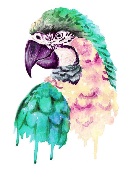 Free Parrot - MyCraftsGfit - Free 5D Diamond Painting