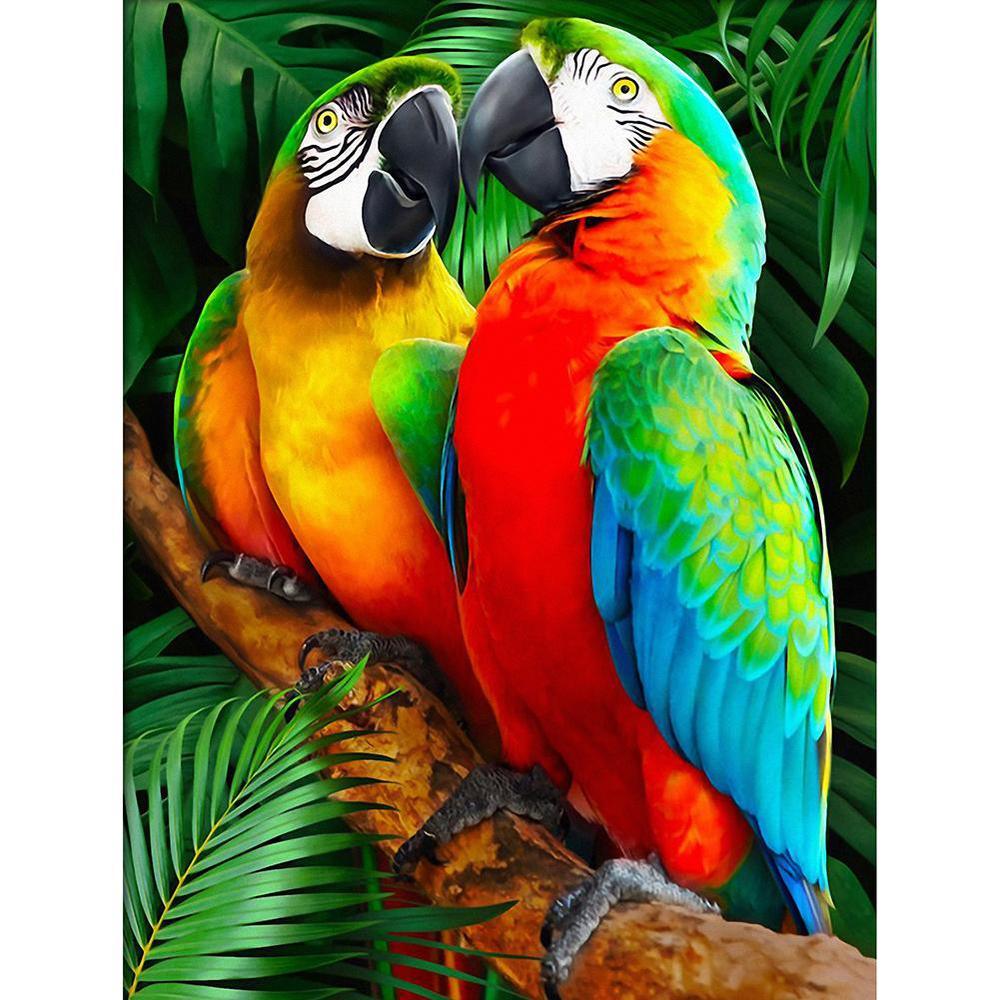 Free Parrots - MyCraftsGfit - Free 5D Diamond Painting