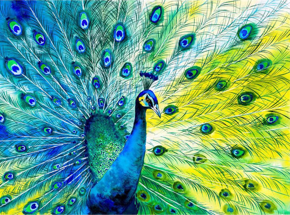 Free Peacock - MyCraftsGfit - Free 5D Diamond Painting