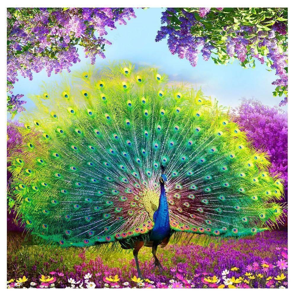 Free Peacock - MyCraftsGfit - Free 5D Diamond Painting