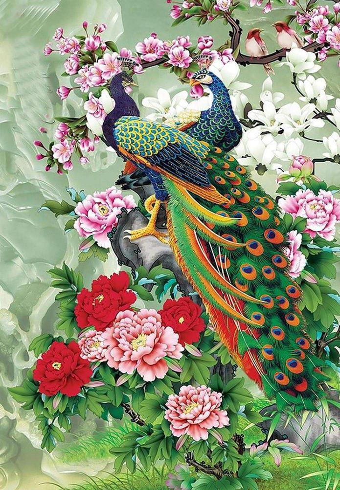 Free Peacock - MyCraftsGfit - Free 5D Diamond Painting