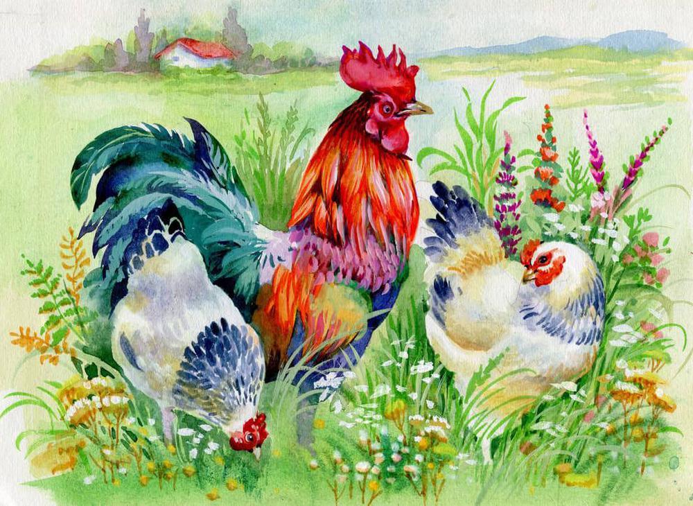 Free Poultry - MyCraftsGfit - Free 5D Diamond Painting