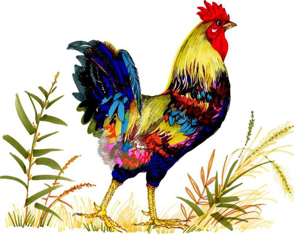 Free Poultry - MyCraftsGfit - Free 5D Diamond Painting