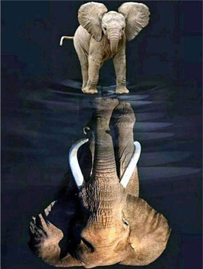 Free Reflection of Baby Elephant - MyCraftsGfit - Free 5D Diamond Painting