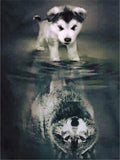 Reflection of Puppy Free 5D Diamond Painting Kits MyCraftsGfit - Free 5D Diamond Painting mycraftsgift.com