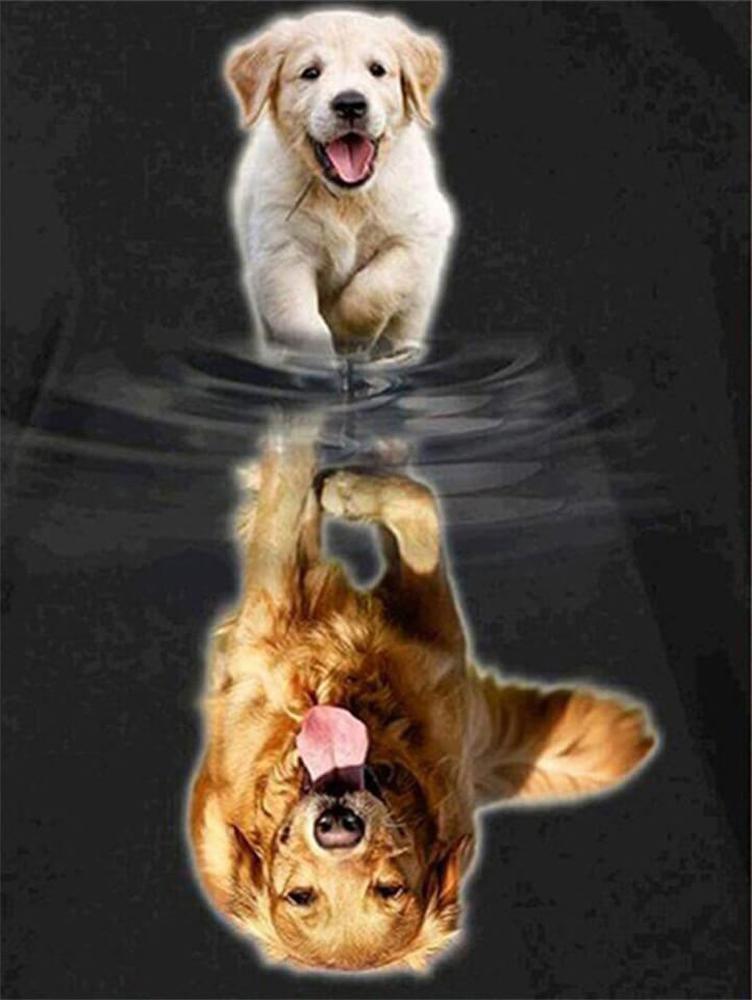 Reflection of Puppy Free 5D Diamond Painting Kits MyCraftsGfit - Free 5D Diamond Painting mycraftsgift.com