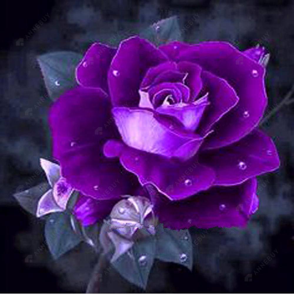 Rose Flowers Free 5D Diamond Painting Kits MyCraftsGfit - Free 5D Diamond Painting mycraftsgift.com