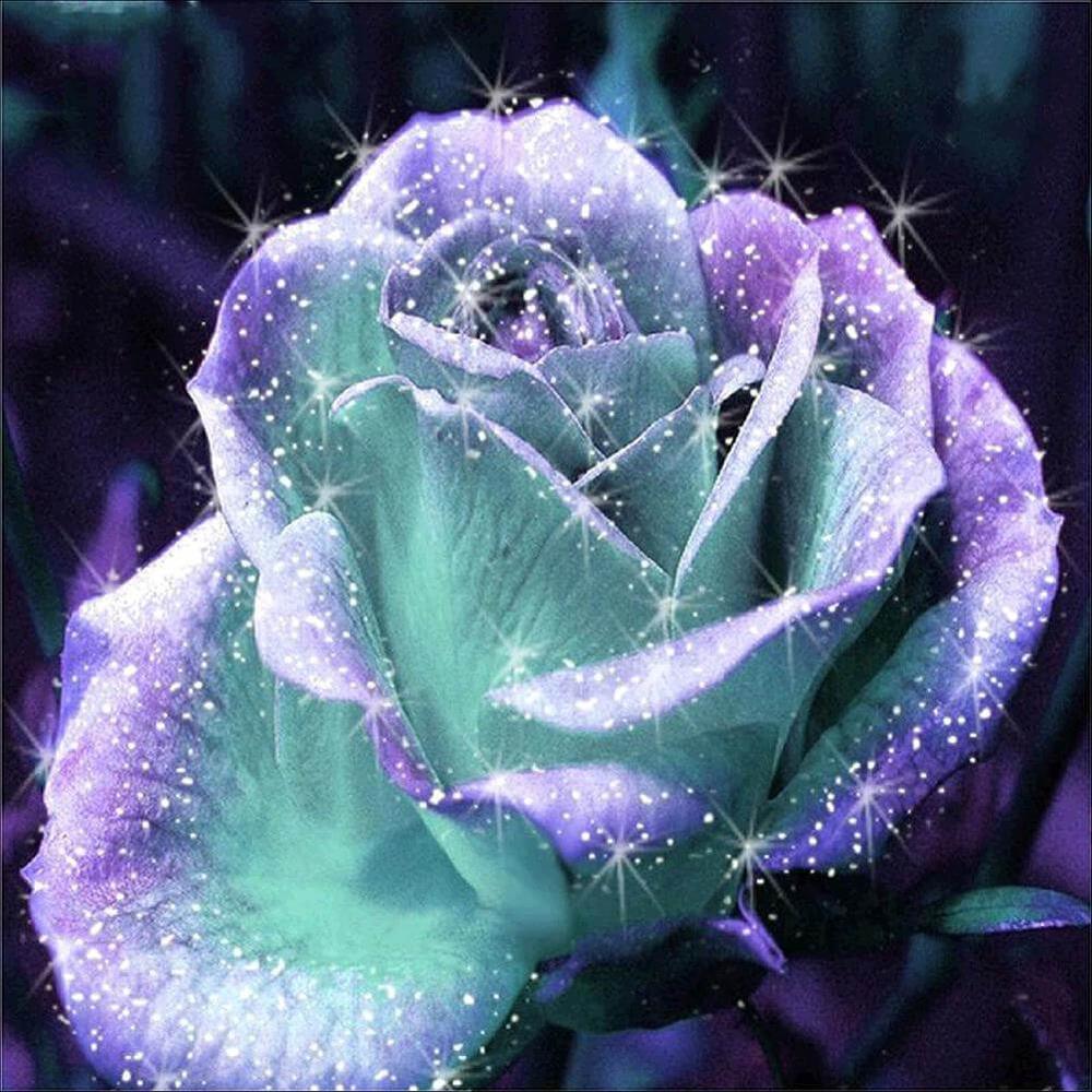 Free Rose - MyCraftsGfit - Free 5D Diamond Painting