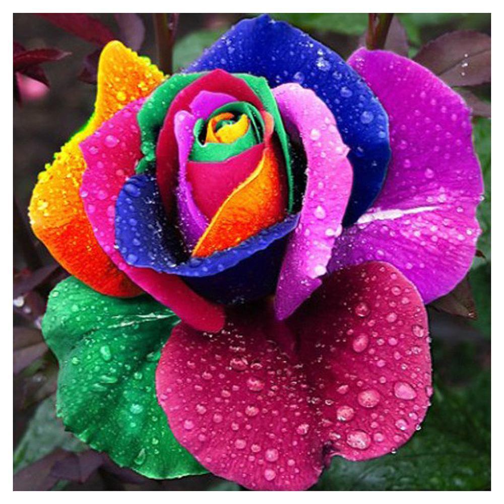 Free Rose - MyCraftsGfit - Free 5D Diamond Painting