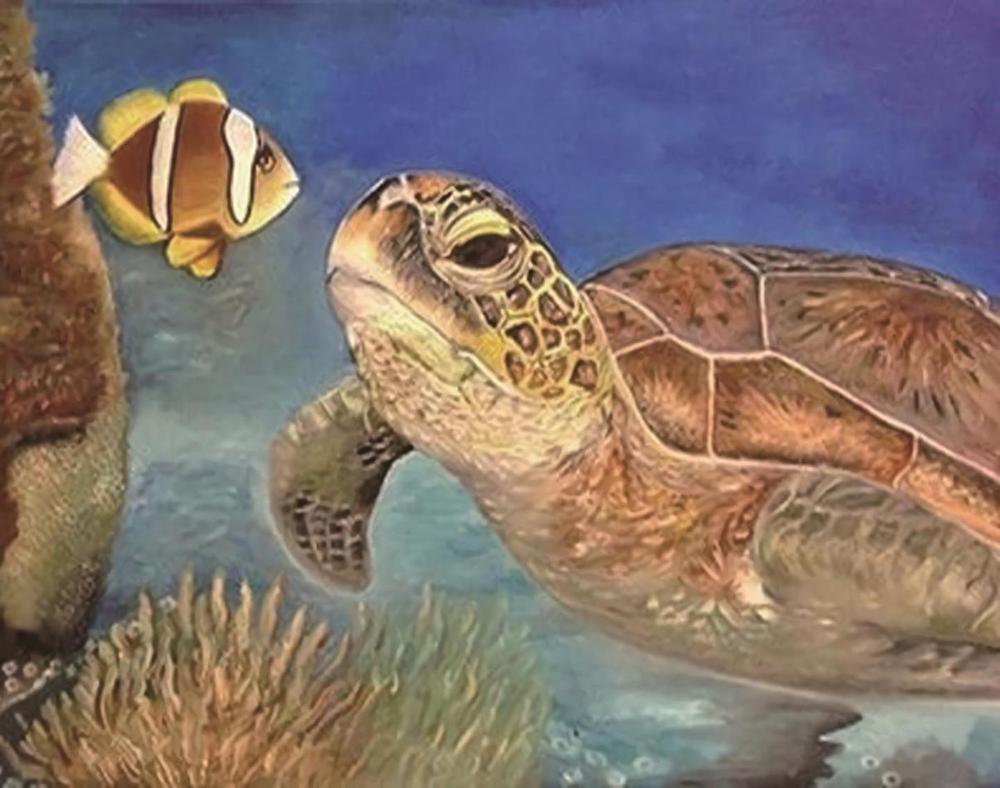 Sea Turtles - MyCraftsGfit - Free 5D Diamond Painting