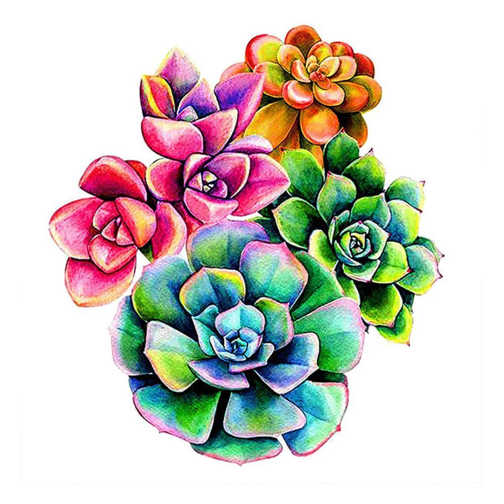 Free Succulent - MyCraftsGfit - Free 5D Diamond Painting