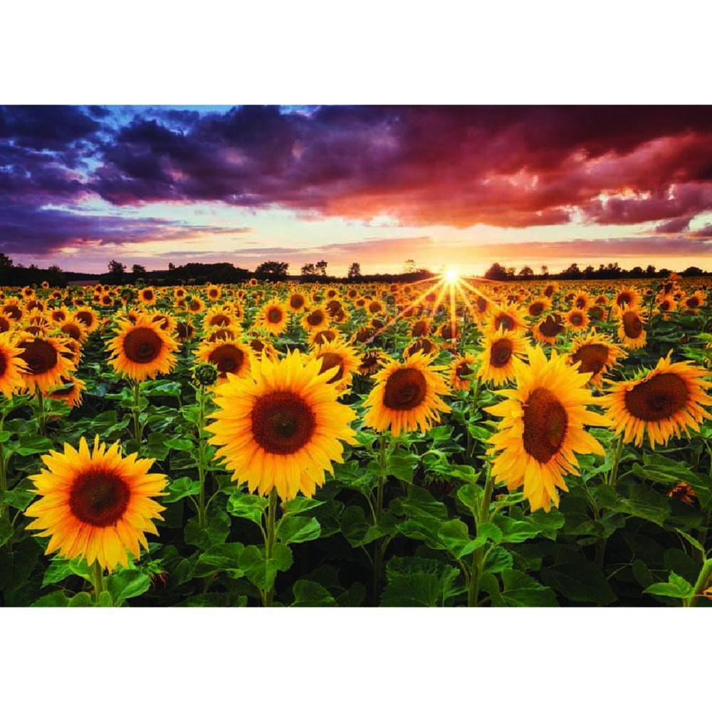 Free Sunflower - MyCraftsGfit - Free 5D Diamond Painting