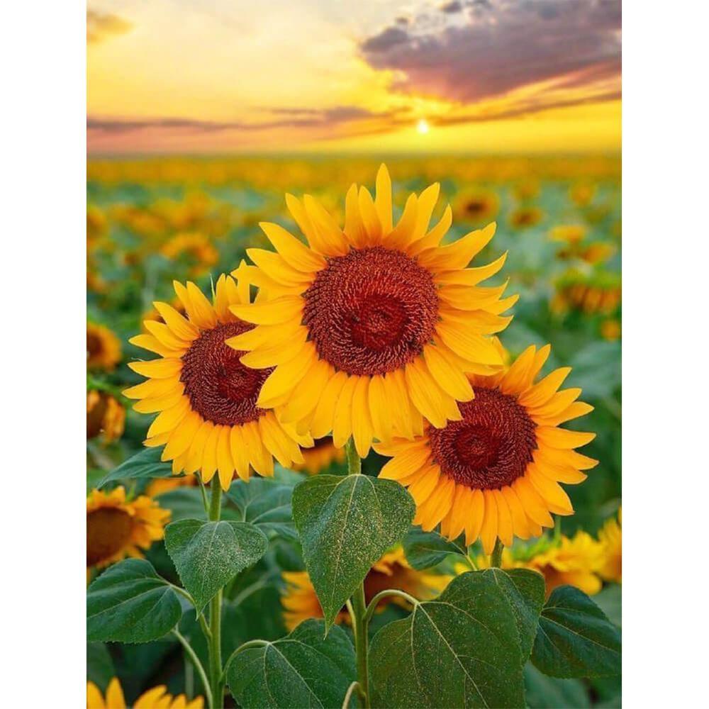 Free Sunflower - MyCraftsGfit - Free 5D Diamond Painting