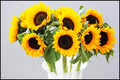 Sunflower Free 5D Diamond Painting Kits MyCraftsGfit - Free 5D Diamond Painting mycraftsgift.com
