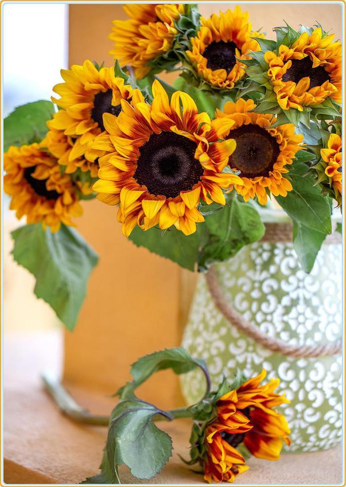 Free Sunflowers - MyCraftsGfit - Free 5D Diamond Painting