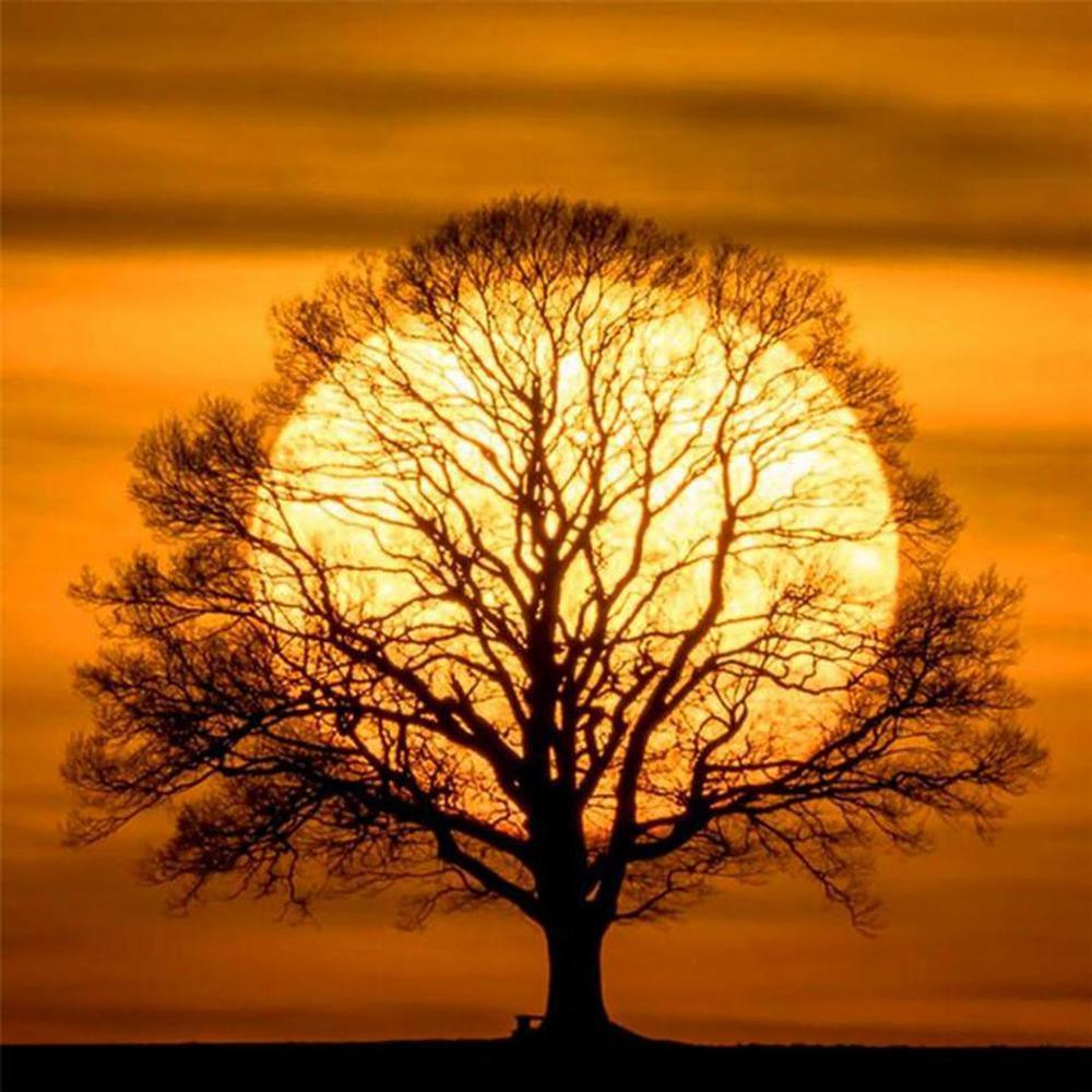 Free Sunset And Tree - MyCraftsGfit - Free 5D Diamond Painting