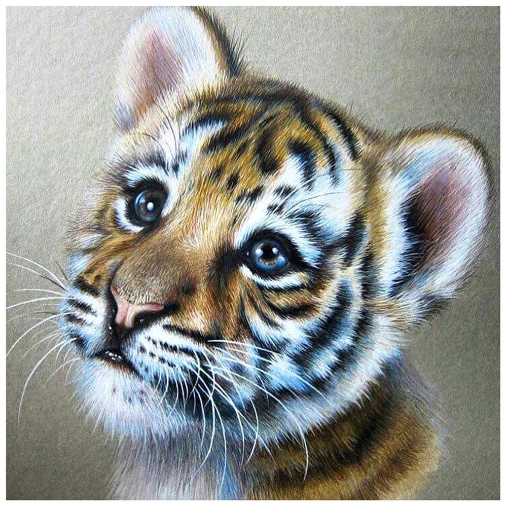 Free Tiger - MyCraftsGfit - Free 5D Diamond Painting