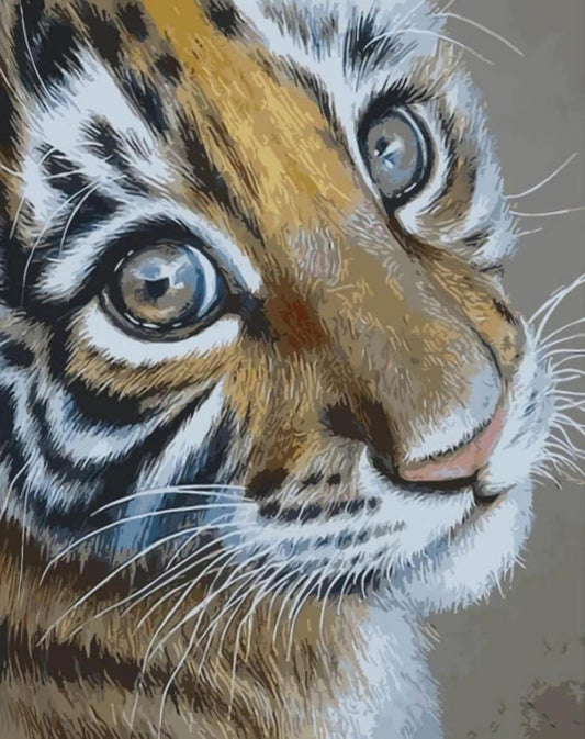 Free Tiger - MyCraftsGfit - Free 5D Diamond Painting