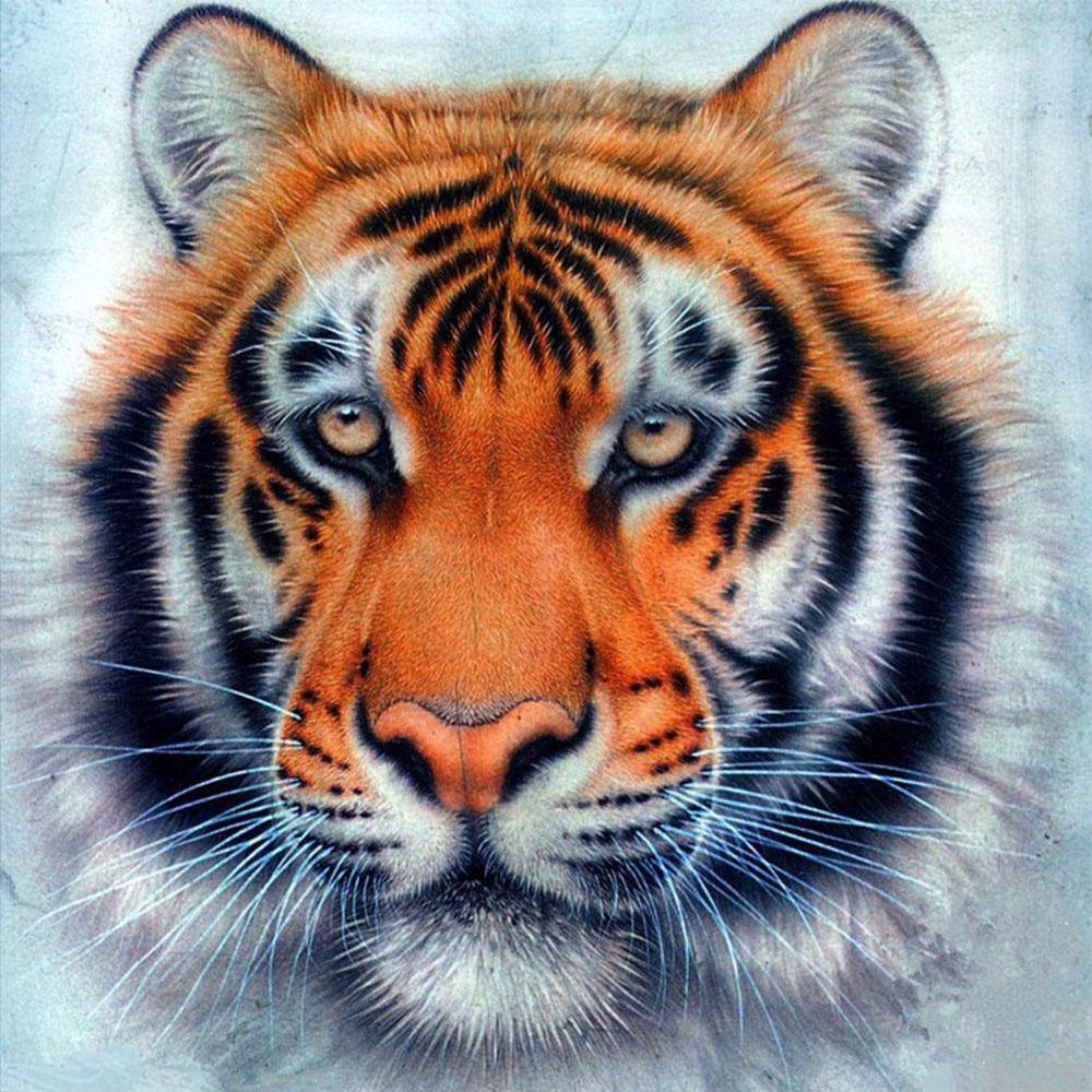 Free Tiger - MyCraftsGfit - Free 5D Diamond Painting