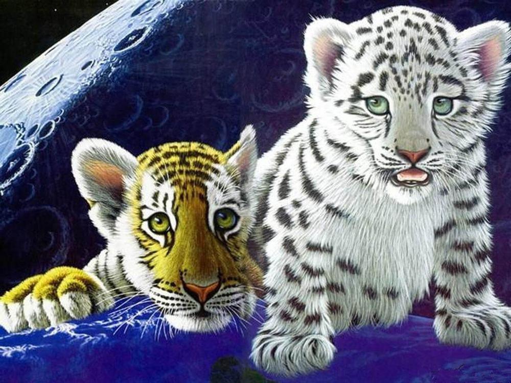 Tiger - MyCraftsGfit - Free 5D Diamond Painting