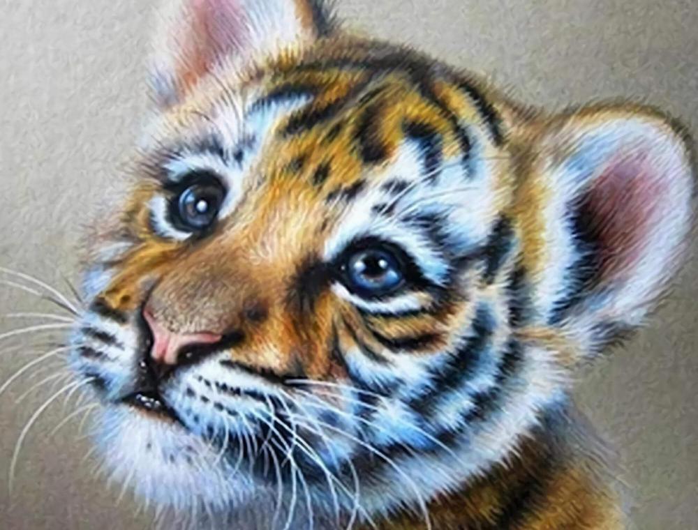 Tiger - MyCraftsGfit - Free 5D Diamond Painting