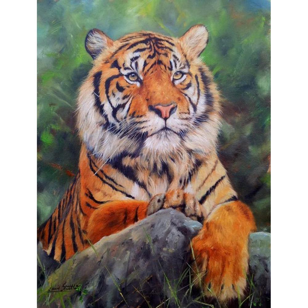 Free Tiger - MyCraftsGfit - Free 5D Diamond Painting