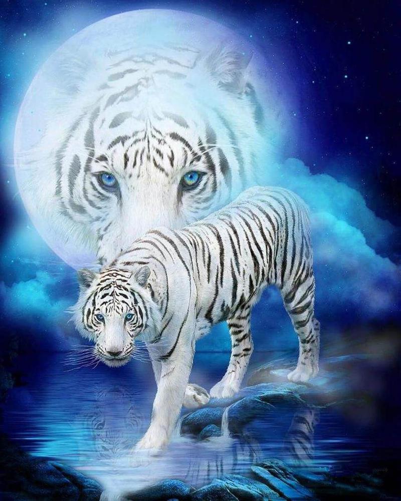 Free Tiger - MyCraftsGfit - Free 5D Diamond Painting