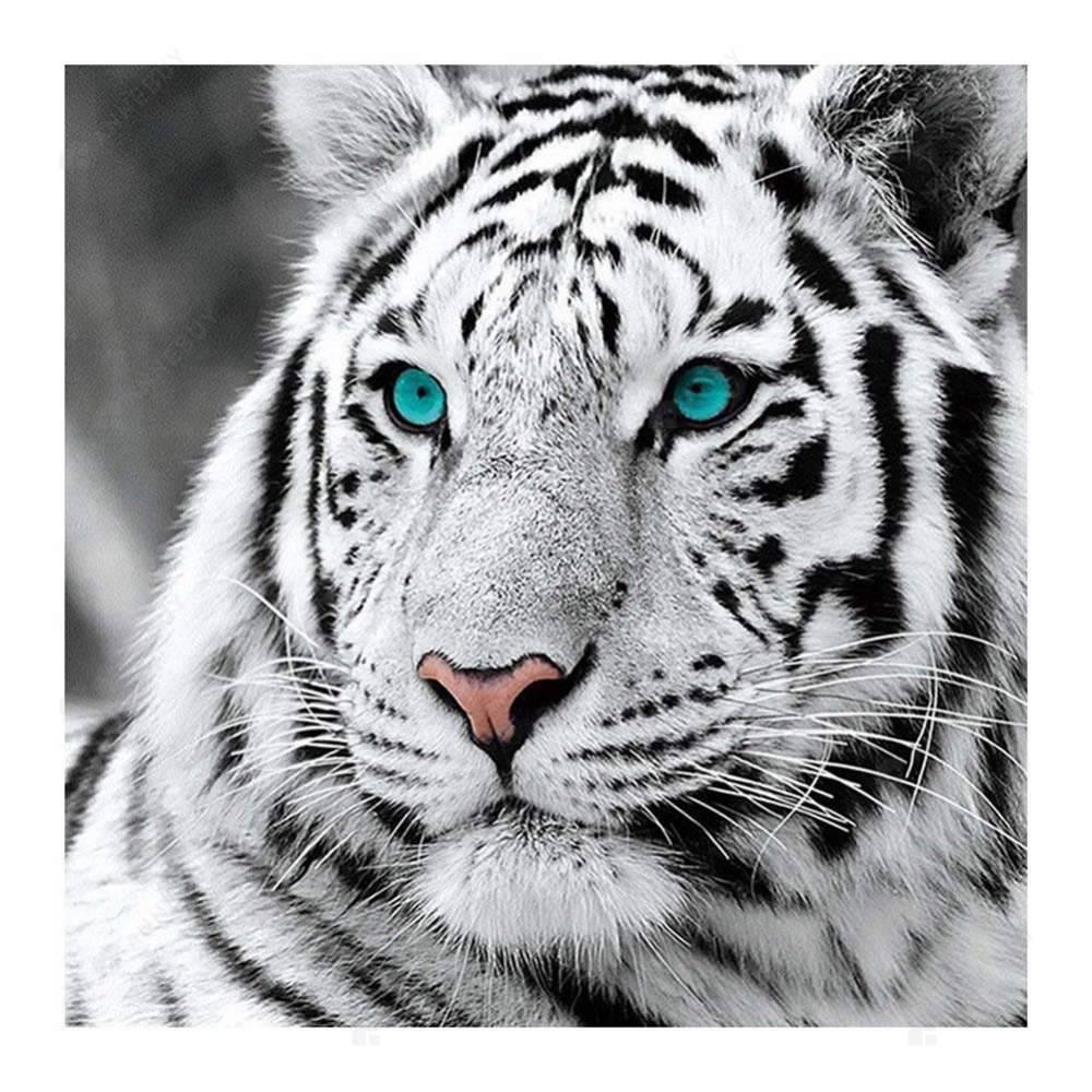 Tiger Head - MyCraftsGfit - Free 5D Diamond Painting