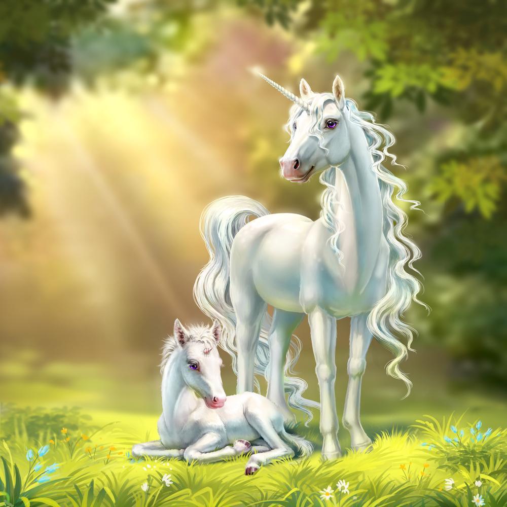 Free Unicorn - MyCraftsGfit - Free 5D Diamond Painting