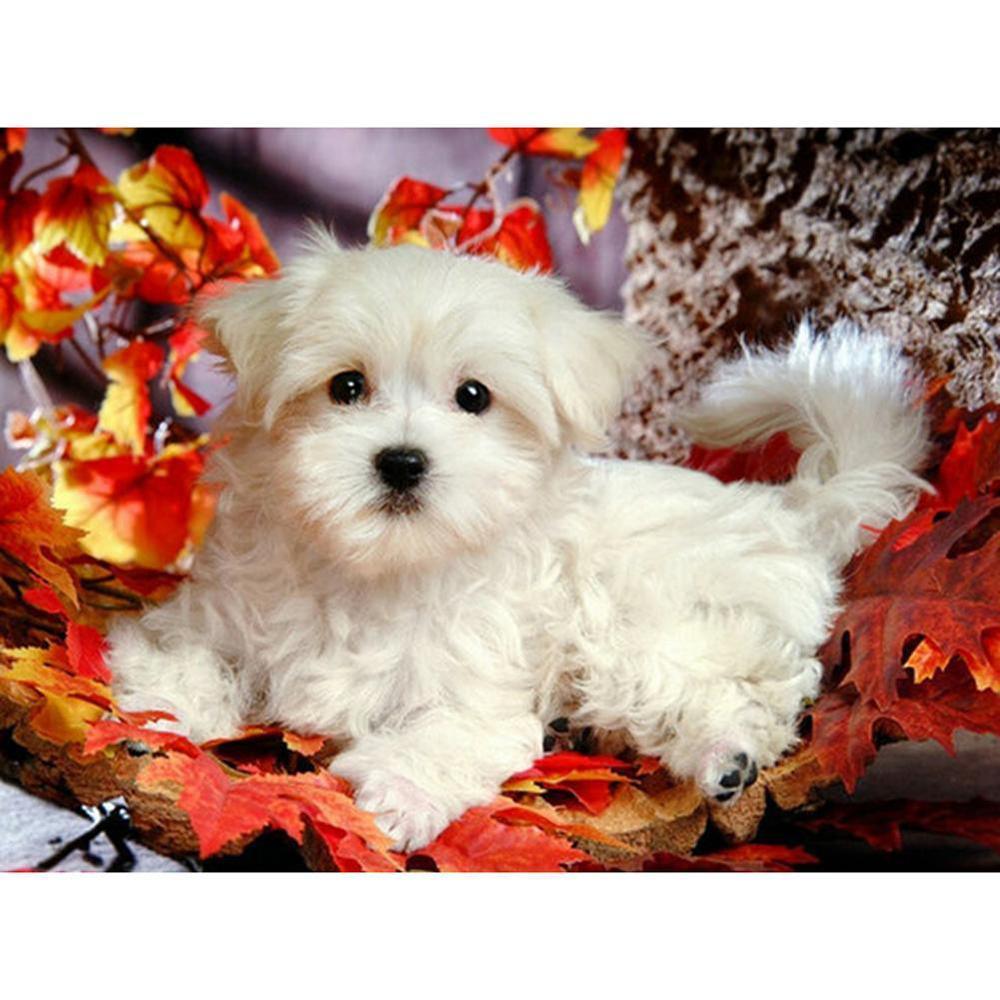 Free White Dog - MyCraftsGfit - Free 5D Diamond Painting