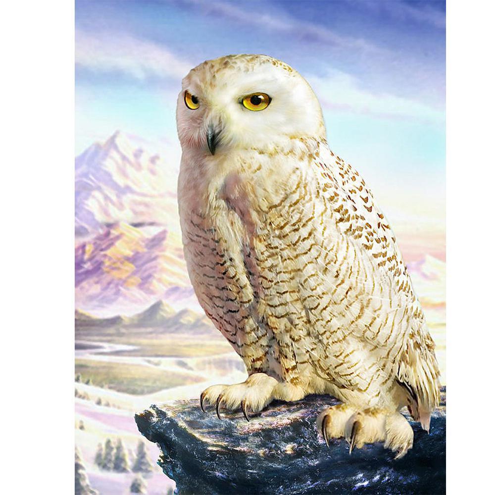 White Owl - MyCraftsGfit - Free 5D Diamond Painting