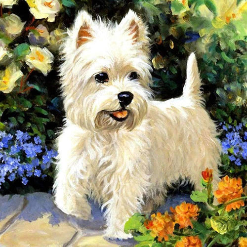 Free White Puppy - MyCraftsGfit - Free 5D Diamond Painting